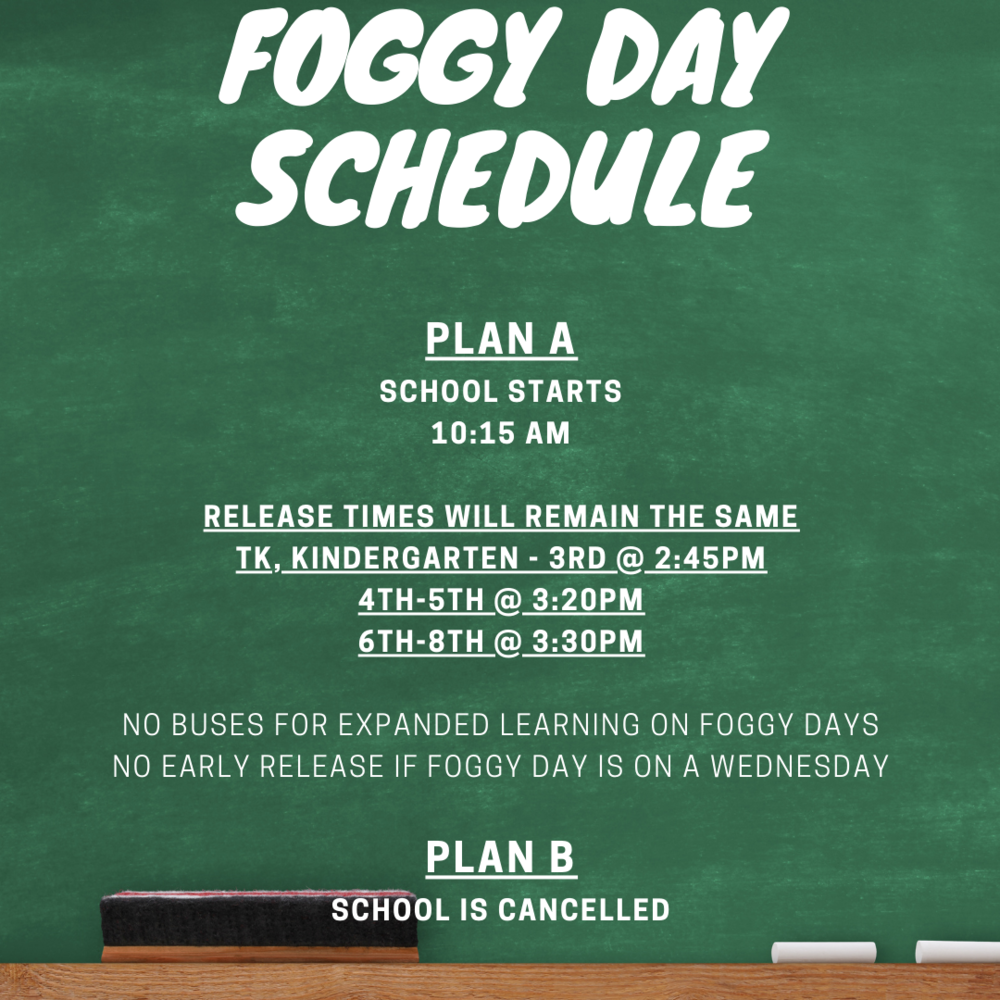 Foggy Day Schedule